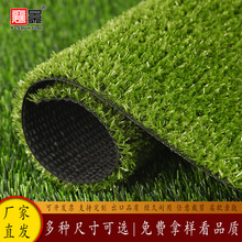 ƺ̺Ƥ׃@չdb̇ٲƷͥԺ쾰