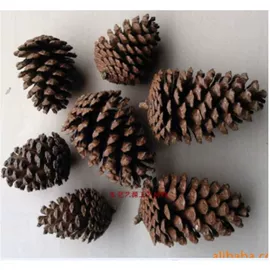 工艺原料;植物工艺品;鲜花花艺制品