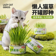 �¿��؈�ݷNֲ��ˮ������؈�ݺ���؈؈��ë������؈����ʳ���l