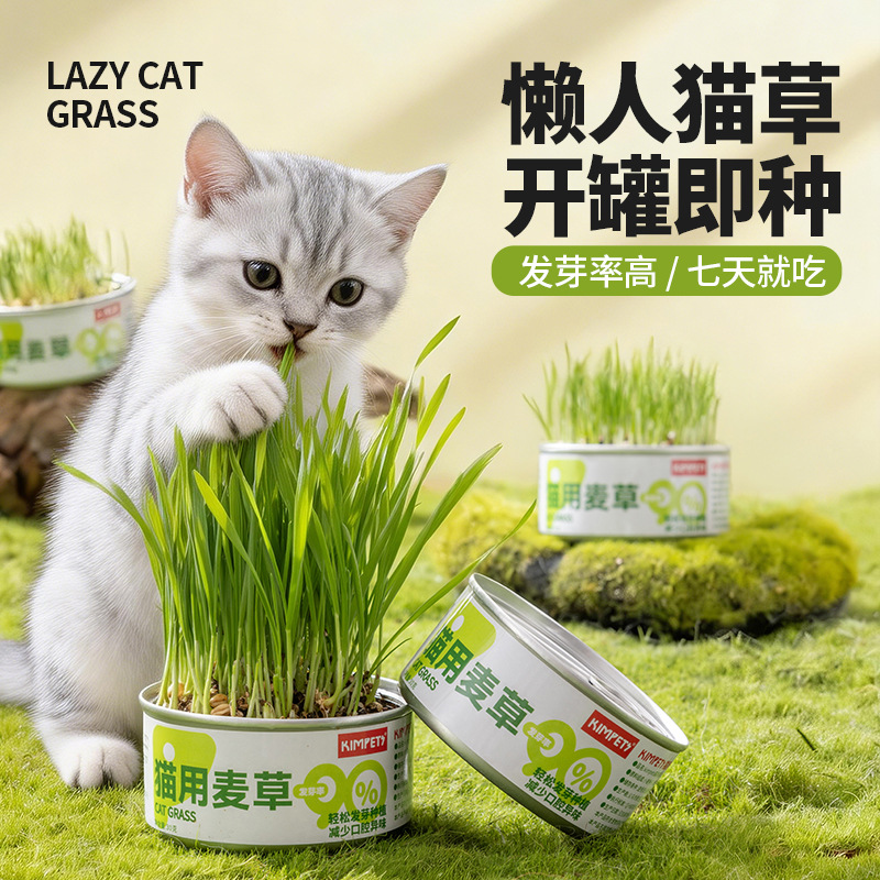 Nueva caja de plantación de hierba para gatos para mascotas, caja de hierba para gatos hidropónica para gatos perezosos, pelaje para gatos, ayuda a digerir los bocadillos para gatos al por mayor