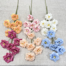 6�^��֧�¼� ���滨 ��c�Ӽ��bٻ� ���l