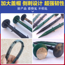 ���ݲ���ᔳ��ݲ����������֦��Ĥ�̶���Ƥu�Ͷ����̈@ˇ�ز��