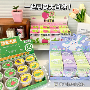 Vegetable and Fruit Small Potted Plants with Pots, High-Quality Blind Boxes, Easy to Maintain Indoor Desktop Green Plants and Florals, Creative Ornaments Wholesale