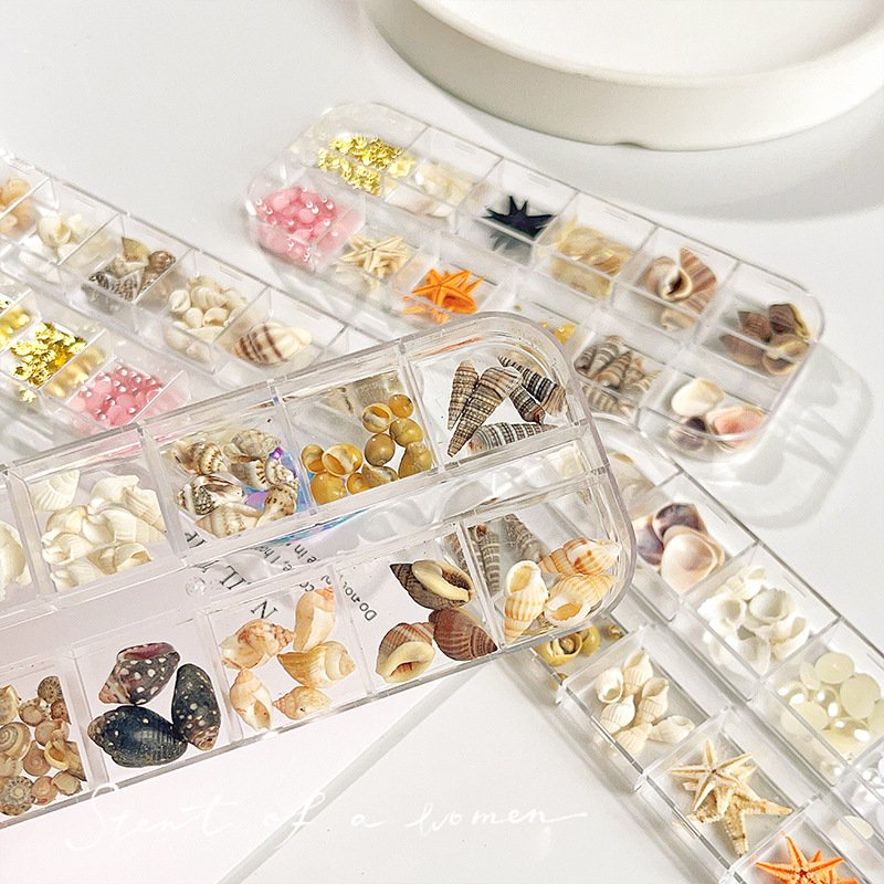 Venta caliente transfronteriza Tormenta marina joyería de uñas rebanadas de concha de estrella de mar natural rebanadas de abulón 12 rejilla mixta