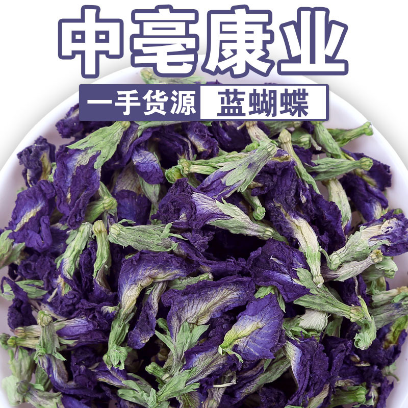 批发新货蓝蝴蝶兰花 蝶豆花散装新货兰蝴蝶花 农产品紫蝴蝶可打粉