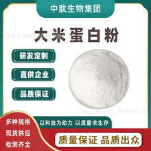 大米蛋白粉多规格 中肽生物 现货供应 水解大米蛋白肽 大米提取物