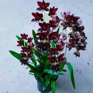 ����ˮ���ͺ��͟�1Ư�����������m�������҃����滨�ܾGֲ����