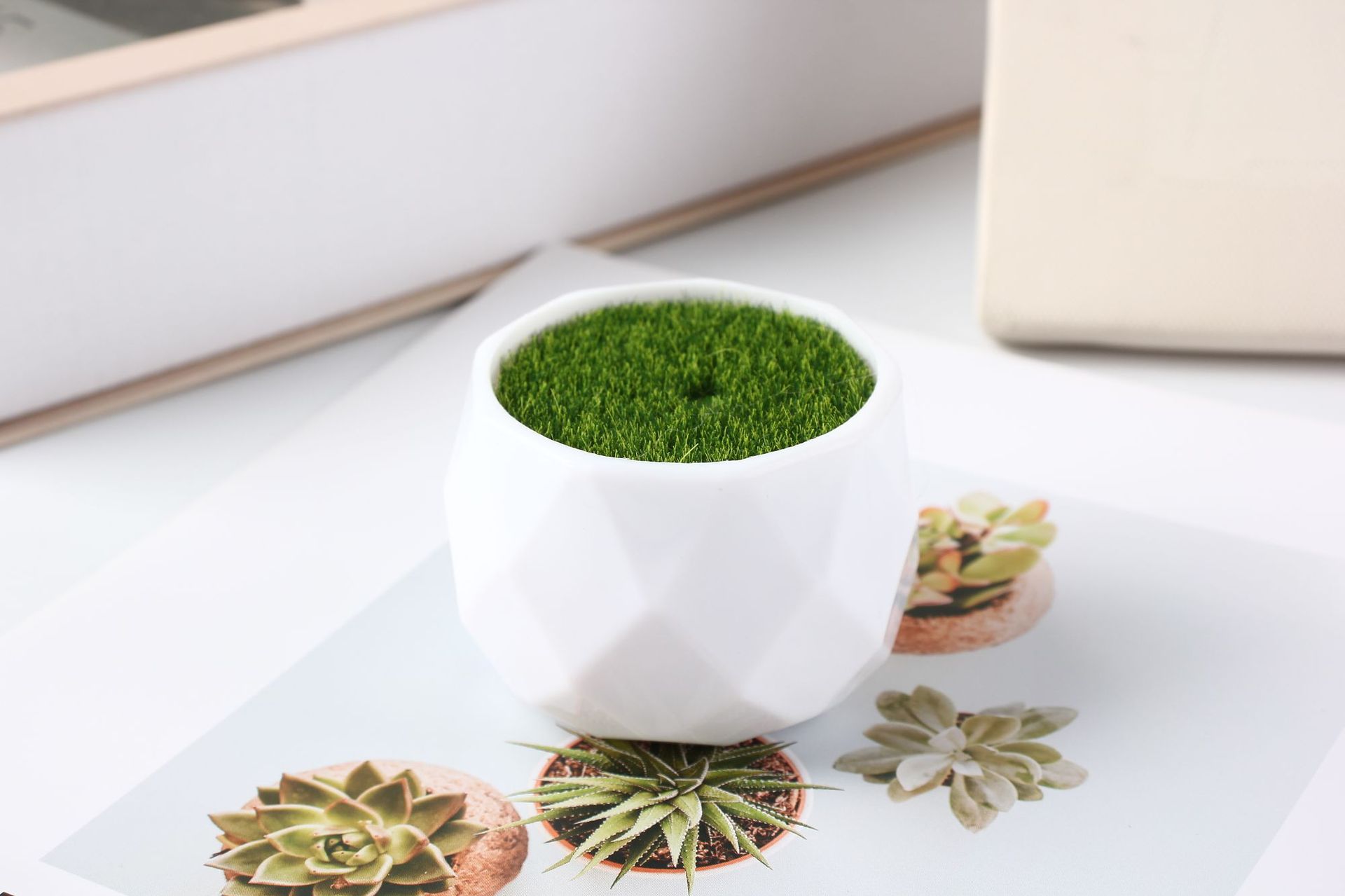 4.6cm * 5.7cm cuenca de diamante + espuma + césped simulado