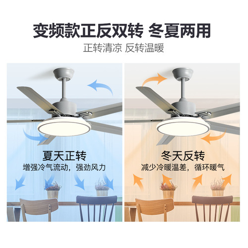 Five-blade stainless steel ceiling fan, modern simple chandelier for living room and restaurant, new household variable frequency silent electric fan lamp
