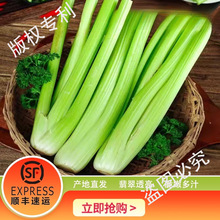 ���rˮ������1500g�F�ڬF�l���w���ۿ�ե֭���ԛ���