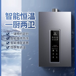 Good wife gas water heater electric household 12 liters 16 liters of natural gas and gas liquefaction forced discharge constant temperature frequency conversion bath