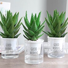 �J�C�����҃ȳ���ȩ�����՚��ļ����B�Gֲ���k�������⻨��������