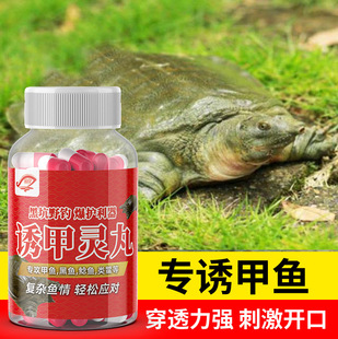 �ۼ��~�z��ូ��~���˞����M��D��Ұូ��~�������~�T�~�C���T��