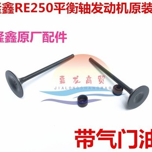 Longxin RE250 accessories magician 250 engine valve Longxin 6 gear balance shaft valve intake and exhaust