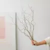 Long Liu 10 small branch-about 50 ~ 60cm mix and match