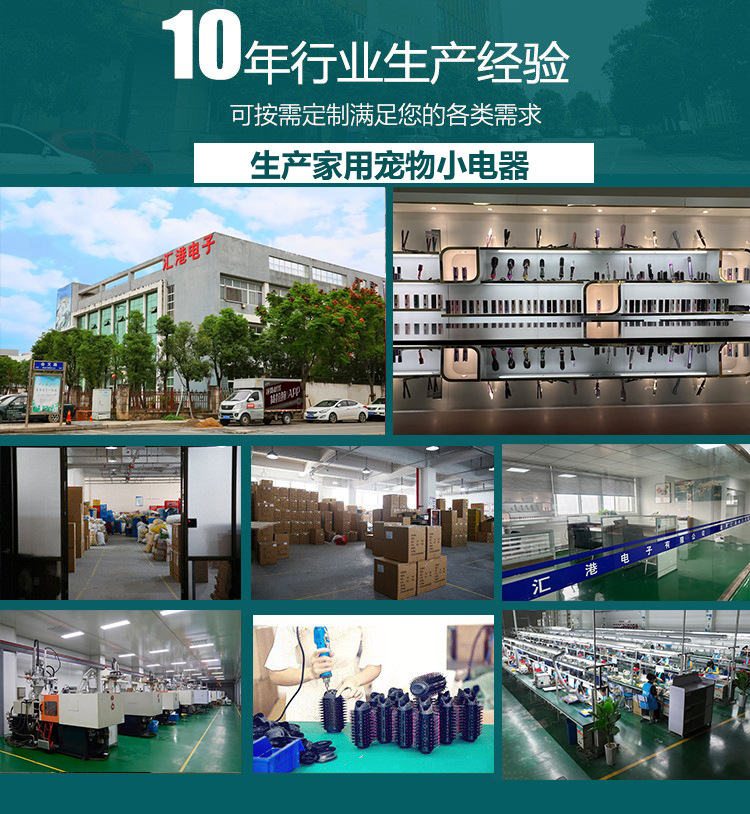 宠物10年