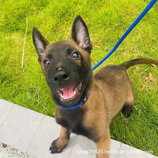 �����RȮ���N�pѪ�y���t���tɫ����Ȯ��Ȯ���o��Ŀ�RȮ�������RȮ