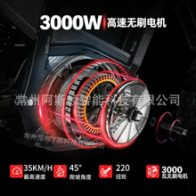 ��ó�¿�Valtinsu Em5�綯Ħ�г�2500W��ˢ���ȫ���γ���ԽҰ��