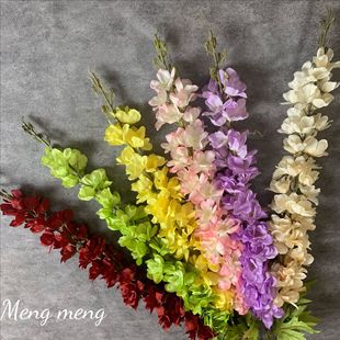 ��ֻ���w��ݽ����L���ӻ�c·����Y�zӰ�Ҿ��b��������M��