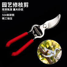 园林剪枝修枝剪刀盆景专用工具盆栽园艺制作叶芽剪水口钳花艺剪刀