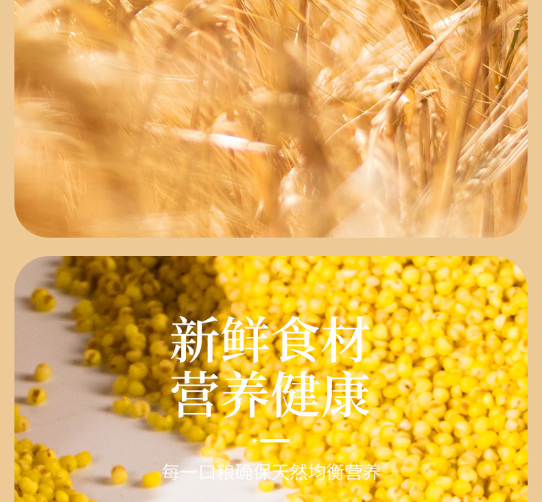 f9b90840-de2b-4874-b4c6-72e804cfbf51.jpe