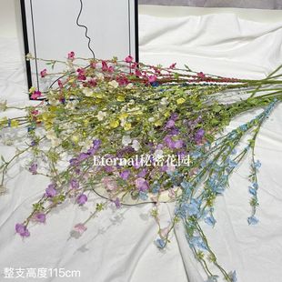 �����黨ѩ���������� ���l���y��֦��ɫ�M���ǆ�֦�廨���l�羳