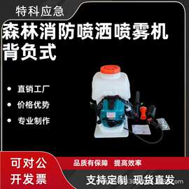火场救援动力喷水灭火器森林消防喷洒喷雾机背负式风水灭火机