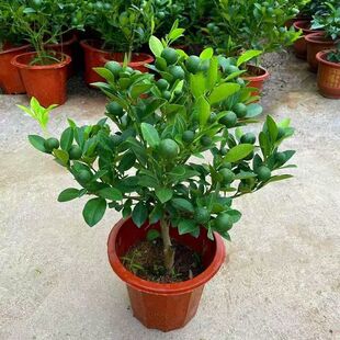 �V�|�ļ���ۺ���С����ļ��ێ����ļ���ۿ͏d�̨ͥԺ������