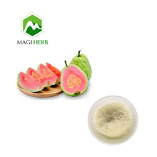 水溶番石榴粉批發 水溶性果蔬粉 固體飲料原料guava fruit powder