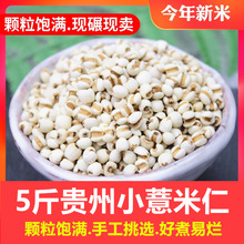 新鲜小薏米仁5斤薏米薏仁米苡米仁贵州特产五谷杂粮粗粮粮油250g