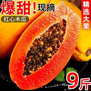 �t��ľ�����rˮ������9�ﮔ�������ЋD���]��Ȼ����Fժ������