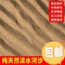 天然河沙细沙多肉种植种花沙子乌龟冬眠沙鱼缸沙建筑沙水族造景