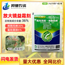 �����˪�˿�36%��������ϩ����������˪ù�������߲��rș������