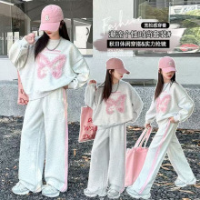 2025秋款儿童时尚潮范蝴蝶卫衣套装中大童女童宽松休闲运动两件套