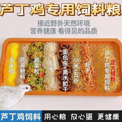 rutin Chicken feed Dedicated feed Brooding Pets balcony formula Cub foodstuff