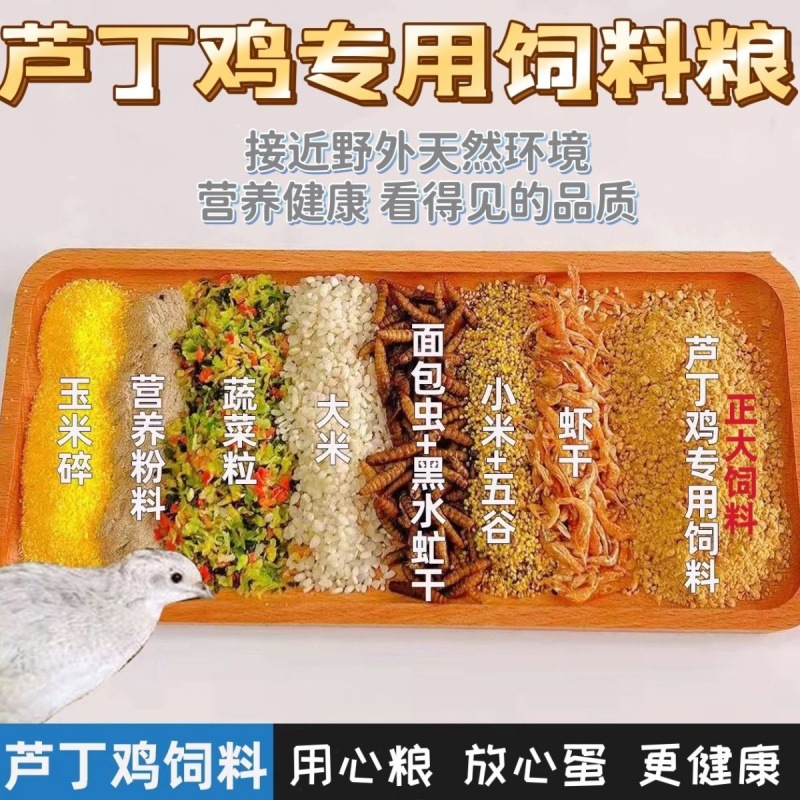 rutin Chicken feed Dedicated feed Brooding Pets balcony formula Cub foodstuff