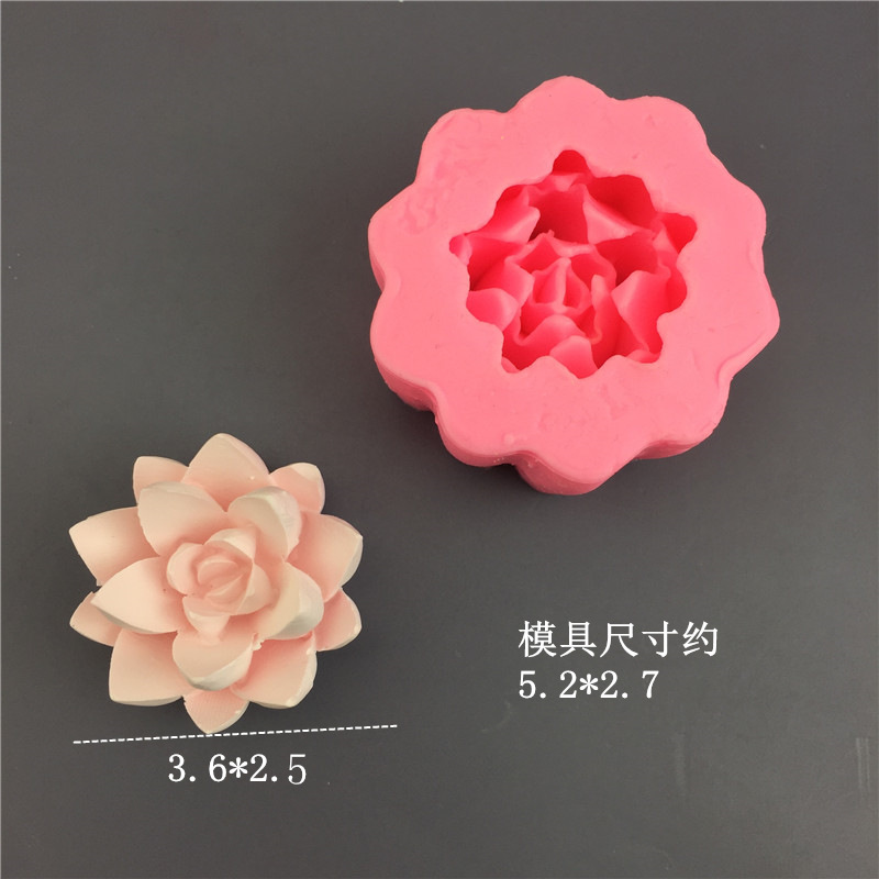 Succulent style 2