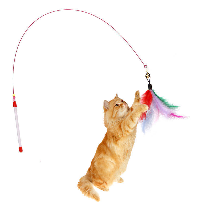猫のおもちゃは猫の棒の長いワイヤーをからかって、猫の羽を折って猫の棒に鈴をつけて猫のペットのおもちゃを訓練します。|undefined