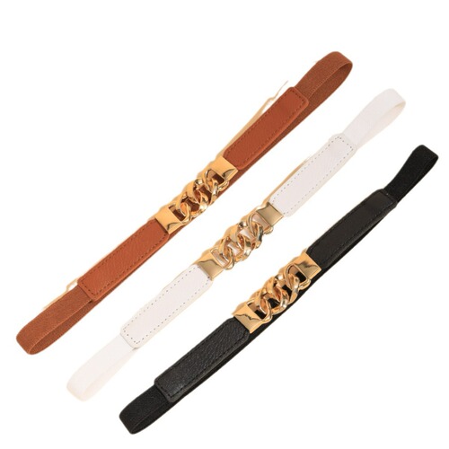 Women's Elasticated Slim Waist Belt for Dresses, Sweaters, Coats - Versatile Decorative Ins Belt