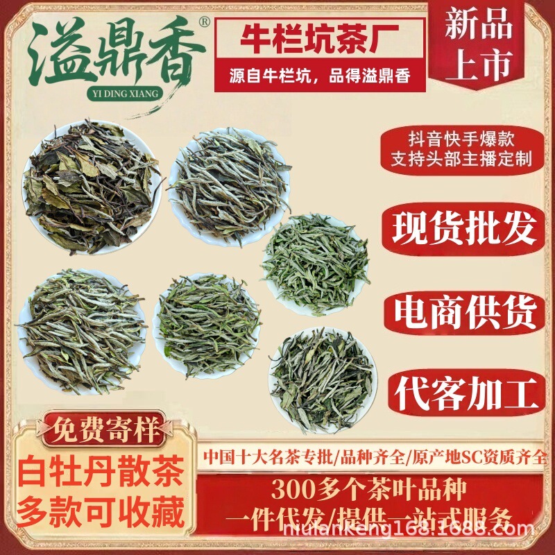 Yiding Fragrant Floral White Peony White Tea, Various Authentic Zhenghe and Fuding Original Pre-Qing Dynasty Old Trees, Sun-Dried in the Wilderness