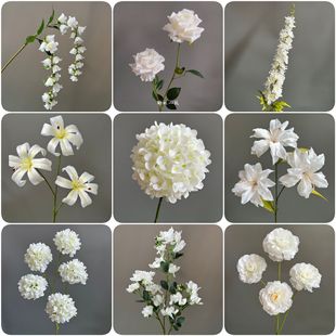 ��ɫϵ���滨��c���Ž���ٻ��Ļ�Y��·���b�õ���ٲ���ˇ���l