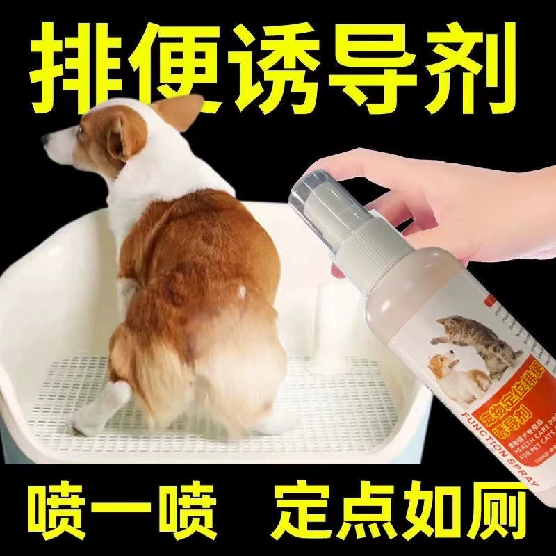 Собаки Собаки туалеты индукенты для мочеиспускания