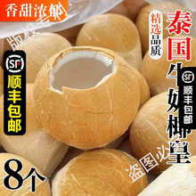 泰国进口大奶椰皇丹嫩沙香水煲鸡汤老椰子孕妇新鲜水果顺丰包邮