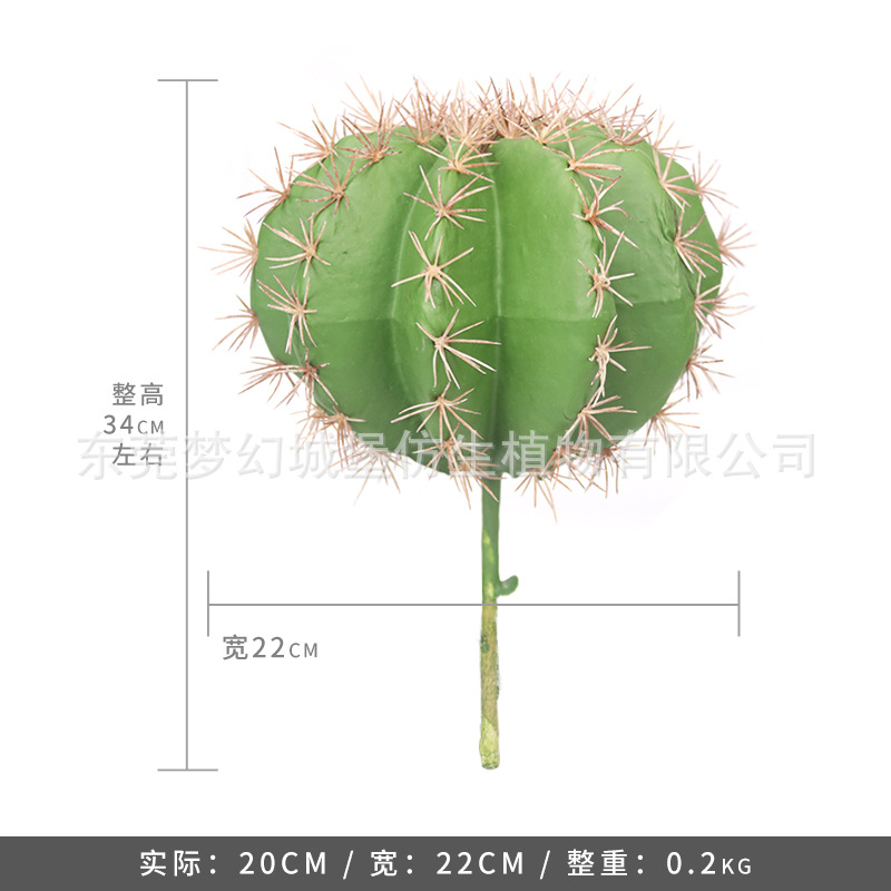 Simulación nórdica Planta verde Pilar de hadas Cactus grande piso interior sala de estar ropa tienda decoración de ventana