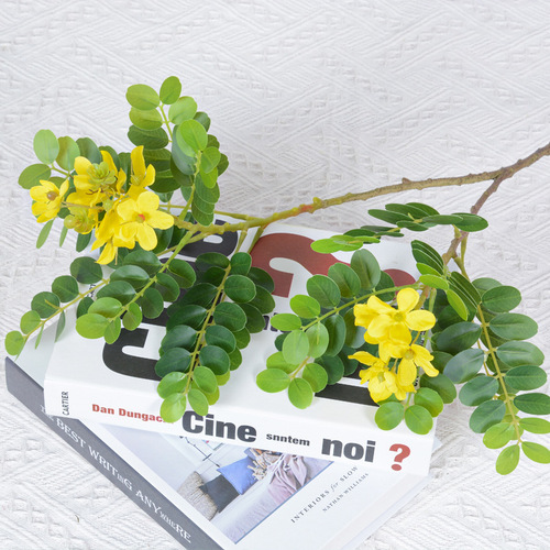Single Sophora japonica flower leaf simulation leaves home indoor garden decoration leaf feel Sophora japonica flower leaves Sophora japonica tree green plant landscaping