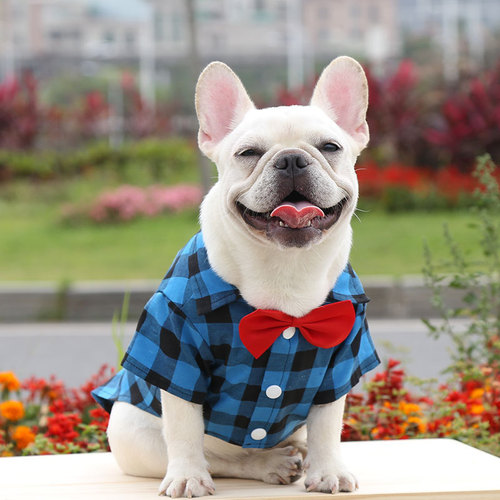 Dog Plaid Shirt Suit Wedding Dress French Bulldog Small, Medium and Large Dog Pet Clothes Cat Supplies