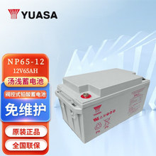 YUASA汤浅铅酸免维护蓄电池NP65-1212V65AH UPS/ EPS直流屏风电