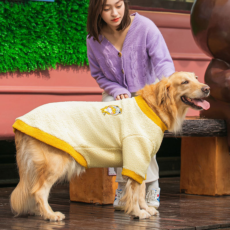 Otoño y invierno ropa de perro de pelo dorado Samoan de dos patas más ropa de peluche cálida de peluche ropa de mascotas de perros grandes