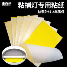 ωճωճʽßճx͏d̲ʳƷSճ