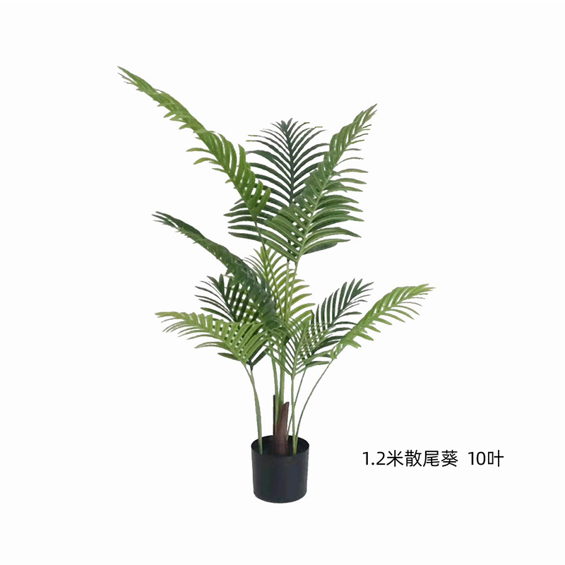 1.2米
